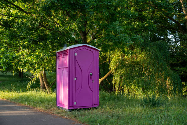 Best Porta potty for special events  in Mount Olive, IL